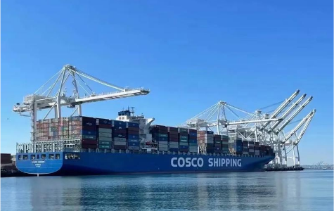 Comprehensive Analysis of Saudi OOG Special Container Transportation Solutions