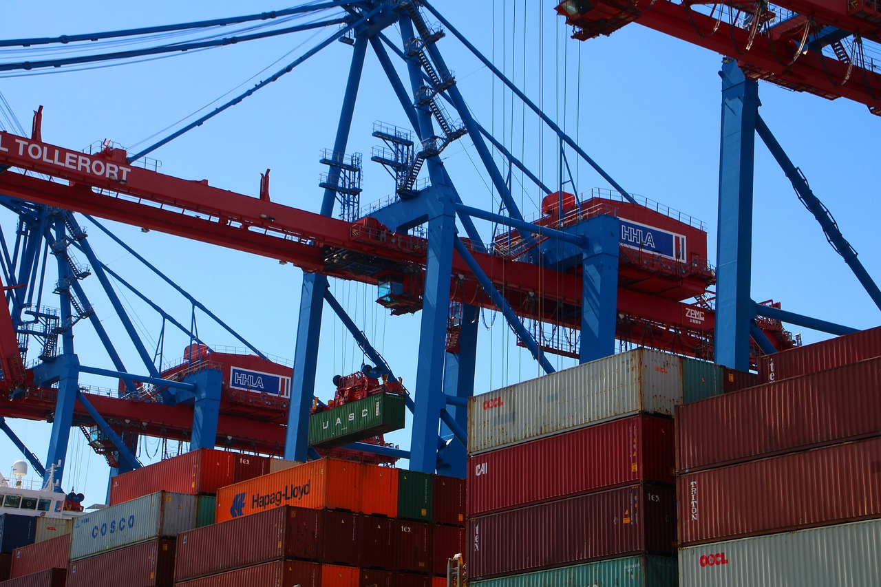 Guidelines for Shipping Timber to the United Arab Emirates via LCL Shipping